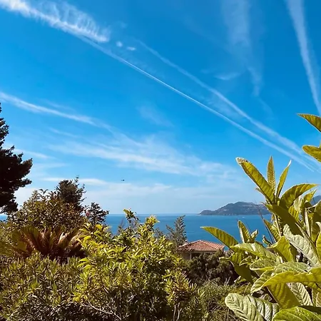 Résidence Piscine-parc-tennis Cannes